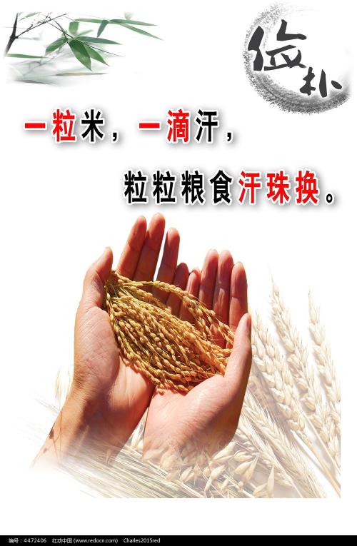 九八年高中毕业证